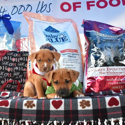 Blue Buffalo has supported Helen Woodward Animal Center's holiday campaign since 2013. Last year, Home 4 the Holidays resulted in nearly 1 million dogs and cats united with loving families.