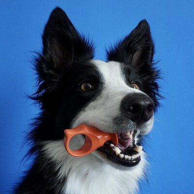 PawReady Named #1 Innovative Grooming Product at SuperZoo 2023