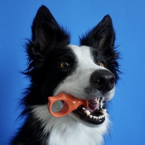 PawReady Named #1 Innovative Grooming Product at SuperZoo 2023