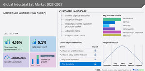 Industrial Salt Market to increase by USD 3.95 billion between 2022 to 2027, Cargill Inc., CK Hutchison Holdings Ltd., Compass Minerals International Inc., and more among key companies - Technavio