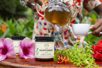 SOUL COMMUNITY PLANET AND ANIMA MUNDI HERBALS COLLABORATE TO PROVIDE HOLISTIC HOSPITALITY AND WELLNESS TO CONSCIOUS TRAVELERS