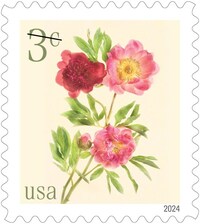 10 Cowboy Fiddler Stamps Vintage Pink Postage for Mailing