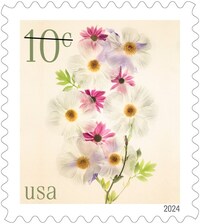 The U.S. Postal Service Will Discontinue Personalized Stamps as June 16,  2020 - Flemings Printed Affair