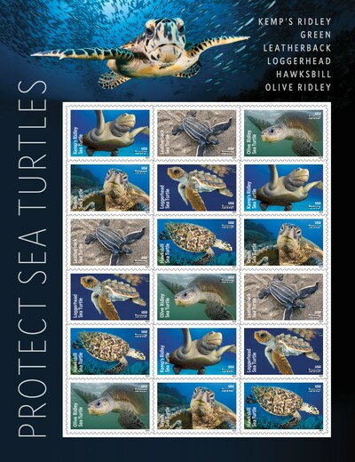 Protect Sea Turtles: This issuance encourages the protection of sea turtles, one of the oldest groups of animals on Earth. These ancient mariners can migrate long distances, sometimes crossing entire oceans. The pane of 18 stamps features close-up photographs of six species — the loggerhead, leatherback, hawksbill, Kemp’s ridley, olive ridley and green sea turtle — that depend on U.S. coastal waters for foraging and migratory habitats during various stages of their life.