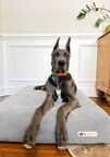 Big Barker Orthopedic Beds for Big Dogs Announces Giveaway Collaboration with LoveMargot.co at Great Dane National Specialty Show