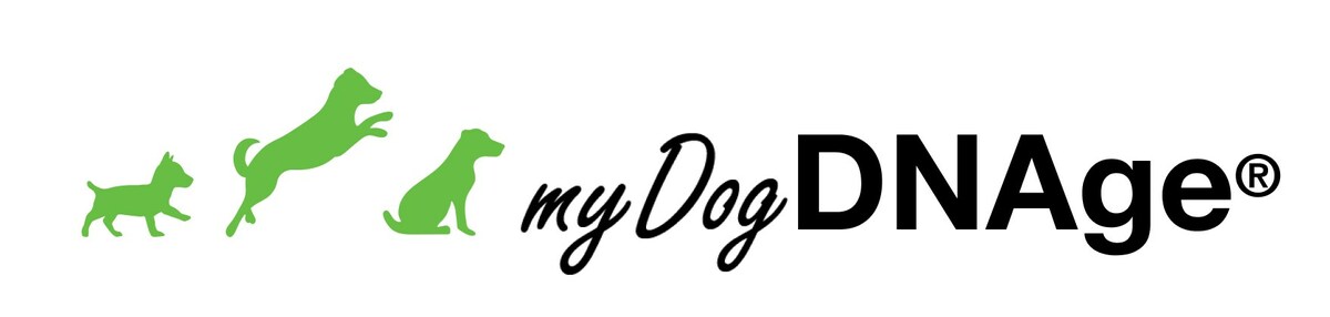 Introducing myDogDNAge®: Revolutionary Canine Biological Age Test - Vimarsana News