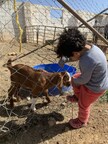 Unicity Make Life Better Foundation Empowers Syrian Refugees Through "Gather for Goats" Program