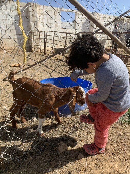 Unicity Make Life Better Foundation Empowers Syrian Refugees Through "Gather for Goats" Program - Vimarsana News