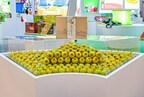 The 21st International Fruit Vegetable Food Expo came to a successful conclusion