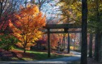 Gibbs Gardens: Autumn Wonderland with Vibrant Amber Foliage