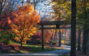 Gibbs Gardens: Autumn Wonderland with Vibrant Amber Foliage