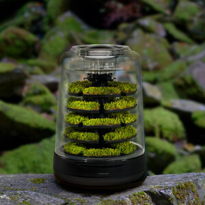 Natural Moss Terrarium "Petite Foret Plus" Launches on Kickstarter