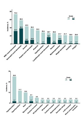 Figure 3: Incidence of TRAEs (≥20%) (A) and irAEs (≥2 patients) (B)