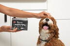 Zesty Paws® & ChromaDex Crack the Code on Cellular Health for Dogs With 'Healthy Aging' Line