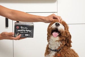 Zesty Paws® &amp; ChromaDex Crack the Code on Cellular Health for Dogs With 'Healthy Aging' Line