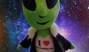 TacoTuesday.com Unveils Your Ultimate Taco Tuesday Buddy