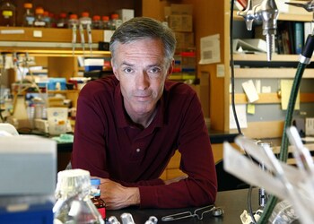 Feynman Prize in Experiment Winner: Professor James J. Collins