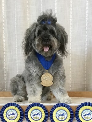 PAULA JARABIN AND "ROSIE" WIN AKC NATIONAL TRICK DOG COMPETITION