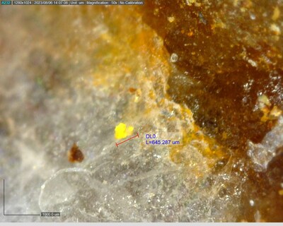 Figure 3: Example of visible gold in drill hole DDRCCC-23-053 (CNW Group/Sitka Gold Corp.)