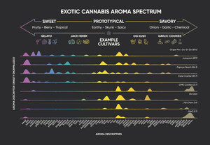 Abstrax Unveils Revolutionary Insights into Cannabis Aromatics in its Latest White Paper "The Science of Exotic I: The Dawn of Flavorants"
