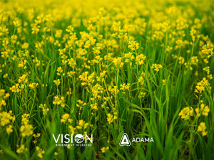 VISION Bioenergy Oilseeds and ADAMA Collaborate to Expand Crop Protection Solutions for Camelina Growers