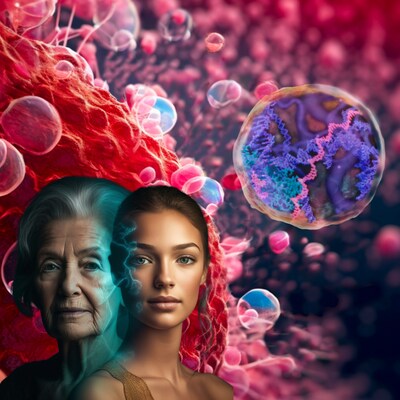 E5 a young plasma derived therapeutic resets the epigenetic landscape of the older recipient cell to the lifestage of the young donor thereby making the recipient younger.
