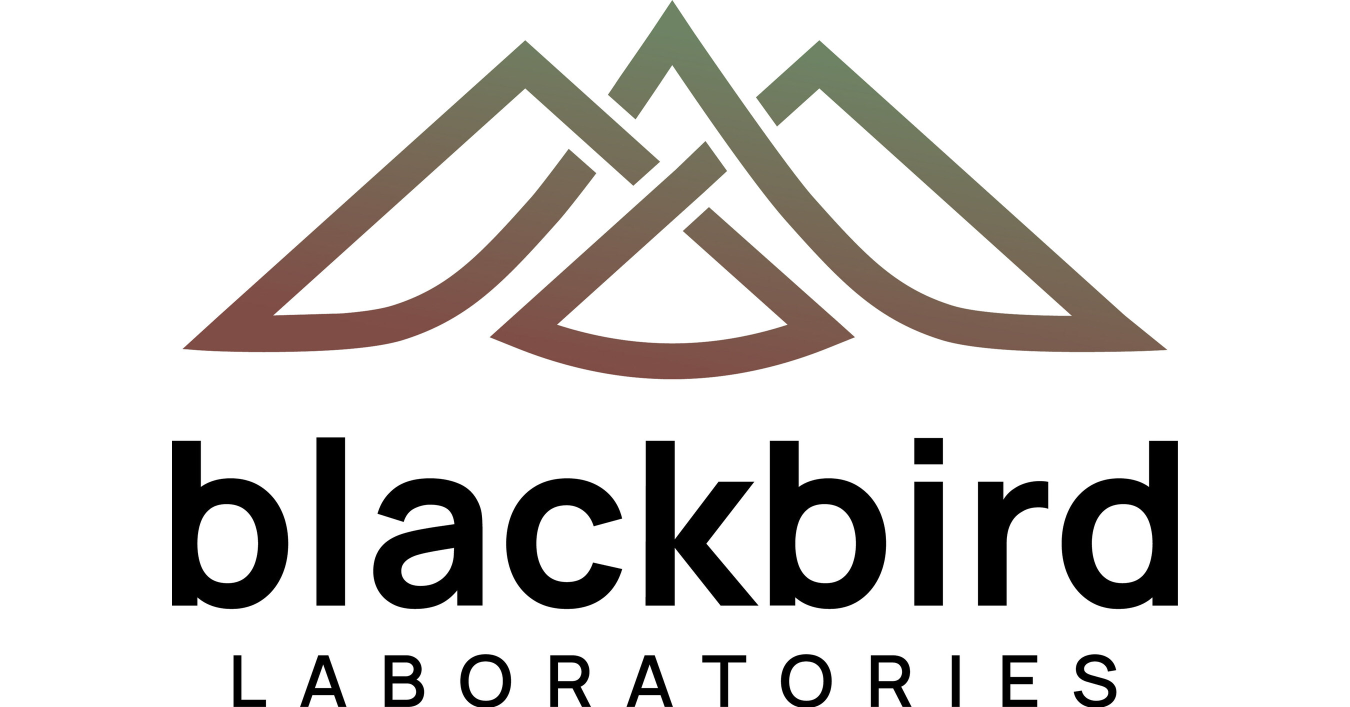Blackbird Labs, a Next-Generation Life Sciences Accelerator, Launches with  $100 Million and Foundational Collaboration with Johns Hopkins University