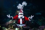 Oceans of Wonder Awaits This Holiday Season at Vancouver Aquarium