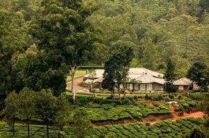 Munnar's oldest plantation estate is now open to guests