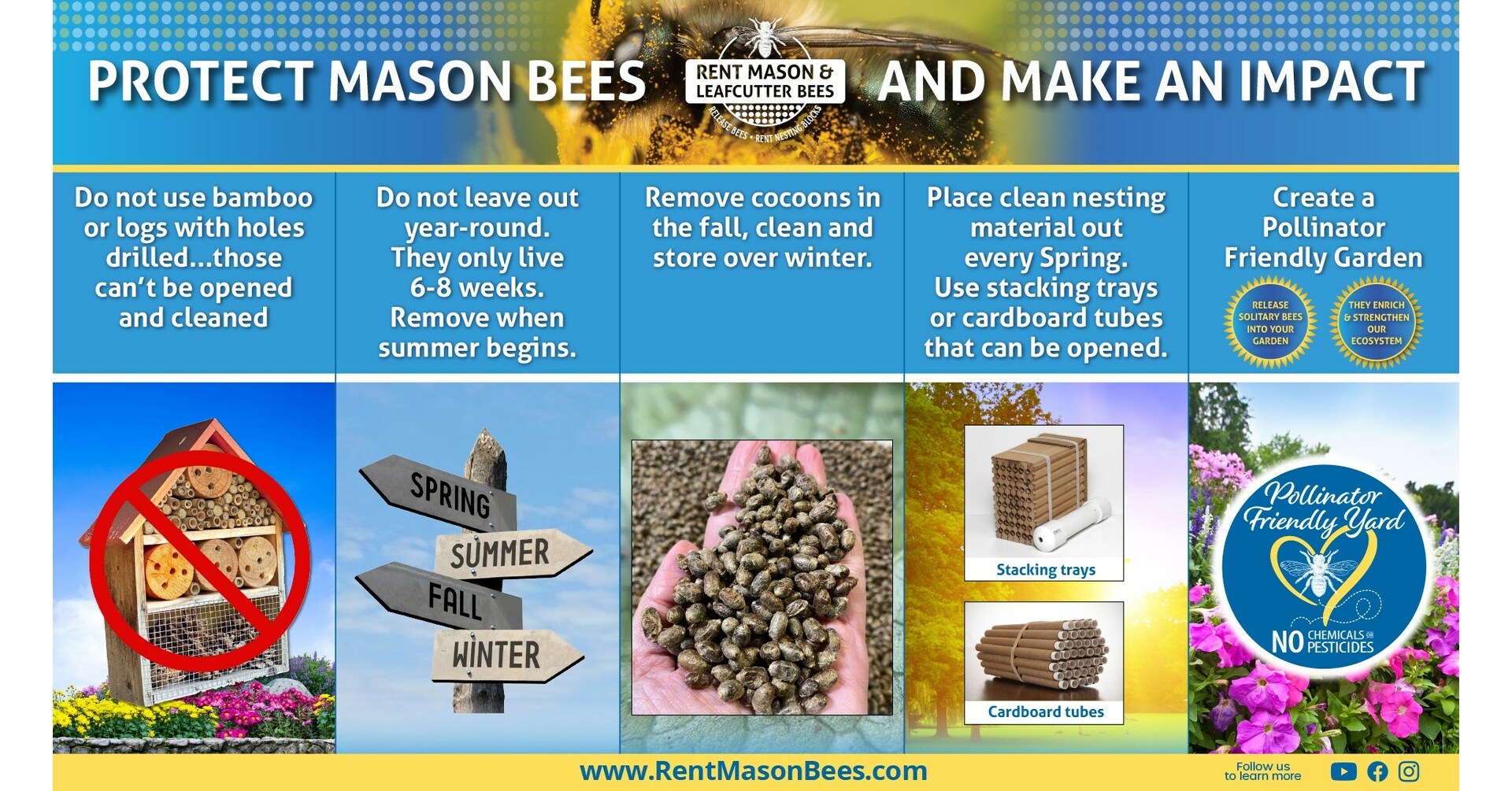 neglected-bee-hotels-pose-a-threat-to-mason-bee-populations-a-fall