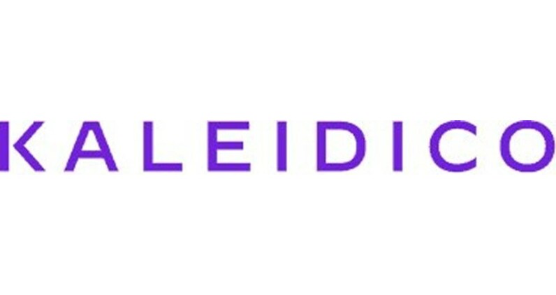 Kaleidico Reveals the Best Michigan-Based Website Designs in 2024