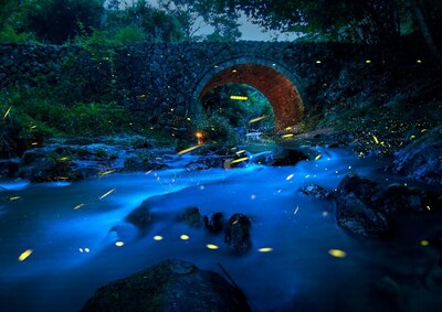 © Zhang Wei (China)
Night View on the Bridge | Huawei P40 | Vencedor de melhor na categoria Passeio Noturno