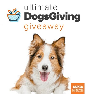 The ASPCA Pet Health Insurance program to Provide Dogs the Ultimate Thanksgiving Feast and Donate $10,000 to a Select Animal Shelter.