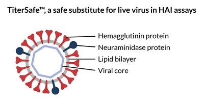 Non-infectious TiterSafe particles can be used as a virus substitute in hemagglutination inhibition (HAI) assays to test influenza vaccine efficacy.