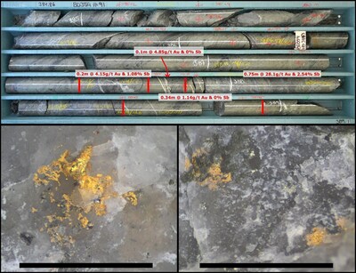 Figure 5. Top - Tray photograph of the Breccia Vein intersection in drillhole BD354, which graded at 16.4g/t Au and 1.5% Sb over a true width of 1.12m. The bulk of the vein consists of greyish, sulphide dusted quartz containing angular clasts of greenish mudstone wallrock. Bottom – Visible gold grains from BD354’s Main Vein intercept from 453.73m, which graded 25.5g/t Au over a true width of 0.18m. Note the presence of gold below the surface of the quartz in the left-hand image. Black scale bars are 2mm long. (CNW Group/Mandalay Resources Corporation)