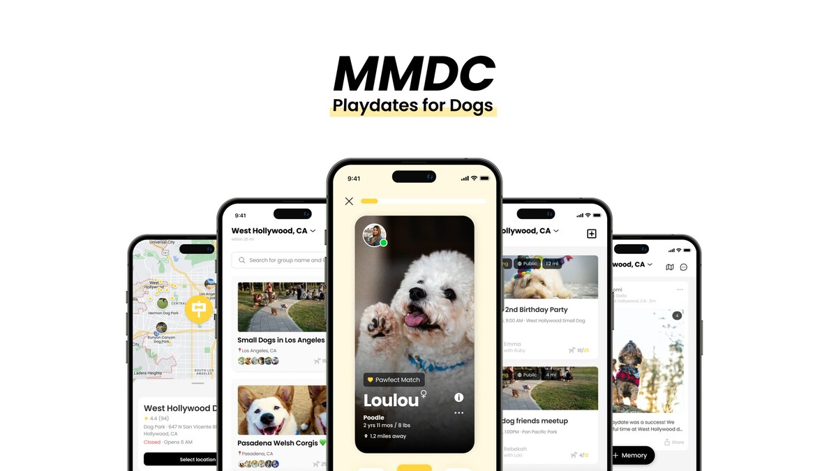 Discover Dog's Perfect Playmate and Support Dog Adoption with MMDC - Vimarsana News