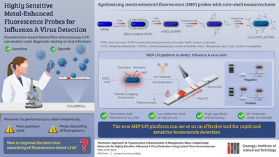 Gwangju Institute of Science and Technology Researchers Develop Metal-Enhanced Fluorescence Probes for Influenza A Virus Detection