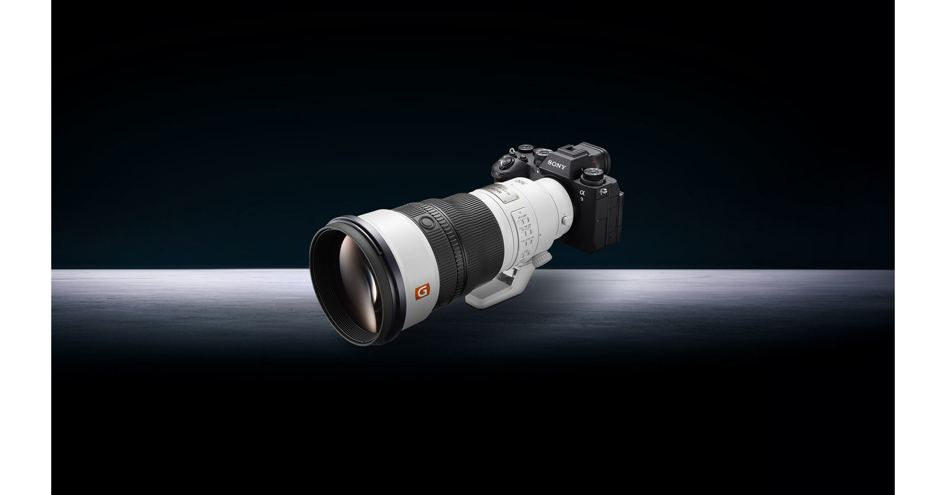 Sony meluncurkan a9 III dengan rana global pertama di dunia dan lensa GM 300mm f2.8 baru – pelajari lebih lanjut di Adorama