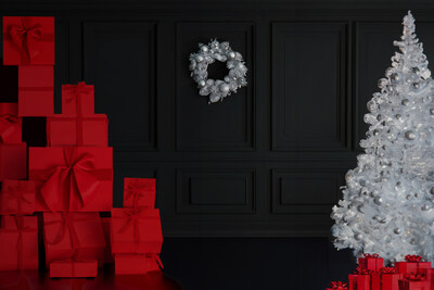 Families in Focus Hosts a Free Holiday, Fashion-Inspired, Family Photography Event