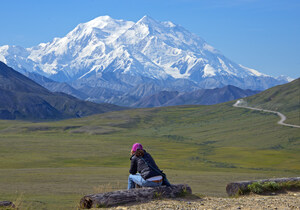 More Access to Wildlife and Glaciers, New Experiences and Tours for All Guests in Denali Highlight Holland America Line's 2025 Alaska Cruisetours