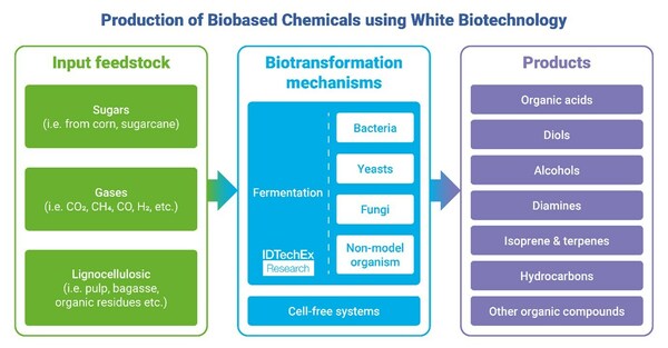 Overview of inputs, biotransformation mechanisms, and sustainable outputs manufactured by white biotechnology. 