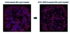PYC'S FOURTH DRUG CANDIDATE HAS DISEASE-MODIFYING POTENTIAL IN POLYCYSTIC KIDNEY DISEASE