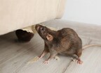 Don't Invite Rodents Home for the Holidays: Five Simple Tips to Protect a Home from Infestation this Winter