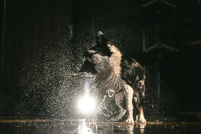 IP54 rated for splashing water and dust, add lighting to capture images and videos only limited by your imagination.