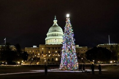 The U.S. Capitol Christmas Tree lights up the West Lawn of the U.S. Capitol during the holiday season