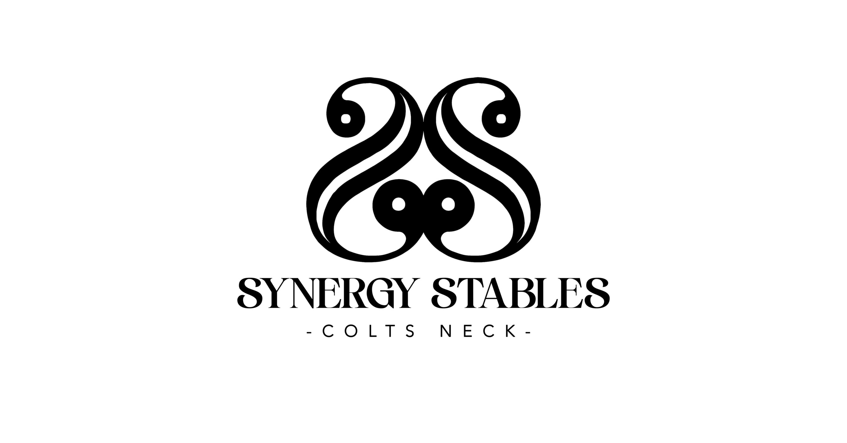synergy stable