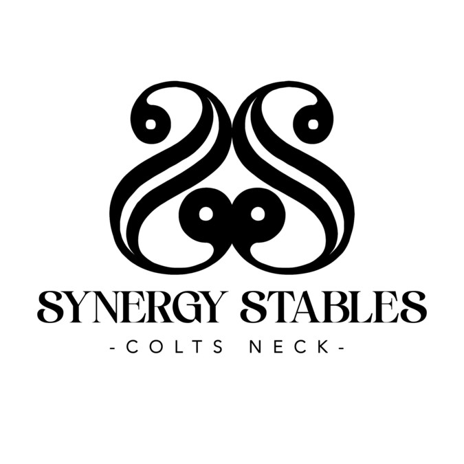Renowned Equestrian Trainer Frank Madden Joins Synergy Stables, Now Owned by Michael Fazio, in Colts Neck, New Jersey - Vimarsana News