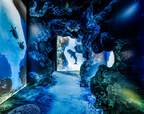 Arcadia Earth Toronto, the powerful experiential journey through planet Earth, opens its doors Dec. 1