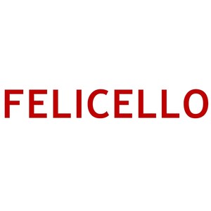 Chambers Selects Felicello for New York Regional Spotlight Recognition in Litigation