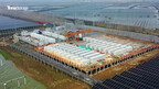 Trina Storage liefert 50MWh-Energiespeichersystem für ein integriertes Fischerei-Solar-Speicher-Projekt in der Provinz Hubei, China